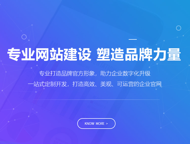 东莞建站-专业网站建设 塑造品牌力量